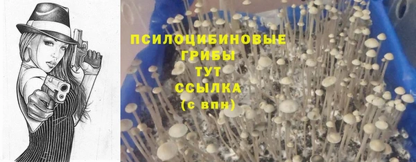 прущая мука Навашино
