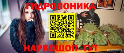 таблы Сланцы
