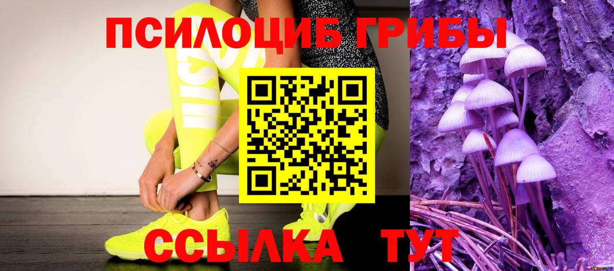 Галлюциногенные грибы Cubensis Пермь